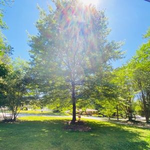 Meet your Posher, Natalia